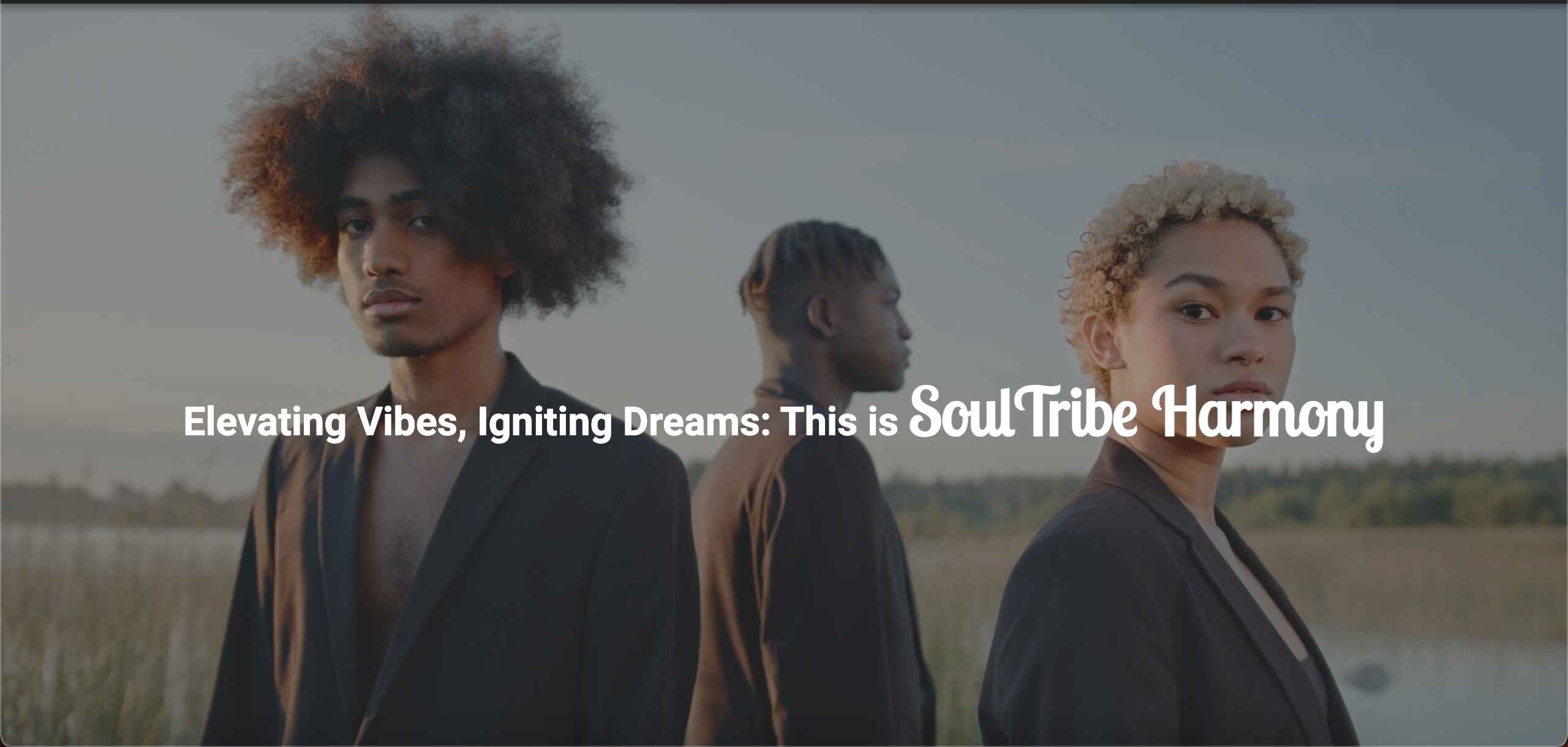 SoulTribe Harmony Press Kit Preview